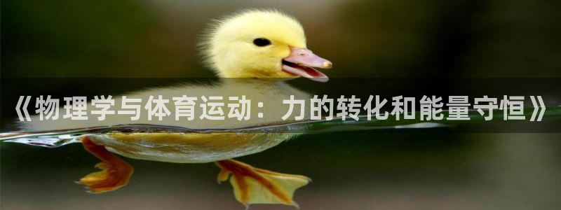 杏耀体育热门赛事有哪些