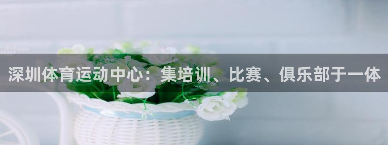 杏耀体育和杏耀是哪个公司的