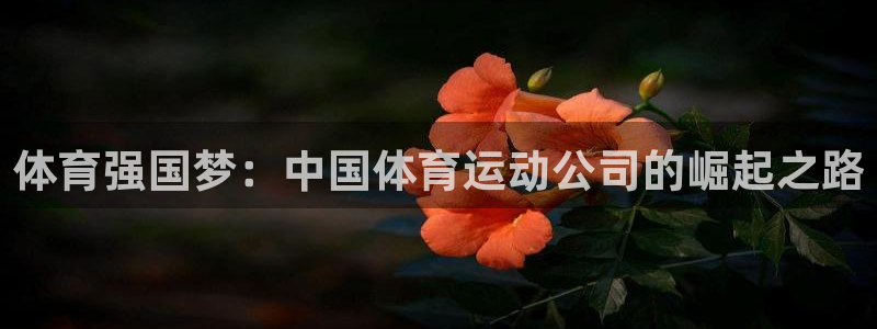 杏耀体育平台总代理