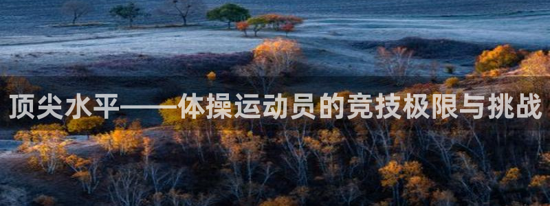 杏耀体育论坛