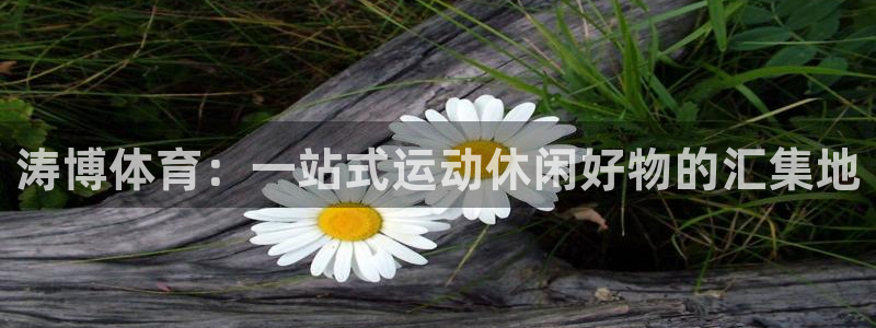 杏耀如何注册