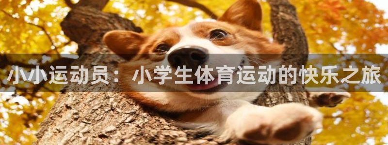 杏耀平台登录