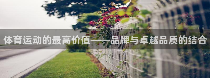 杏耀3注册