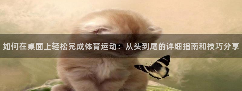 杏耀网络测速官网