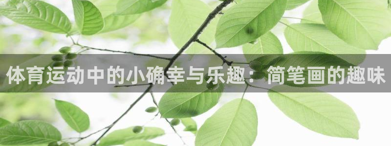 上海杏耀汽车电子有限公司