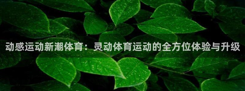 杏耀3官网