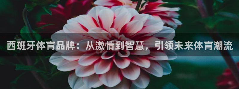 杏耀官网注册