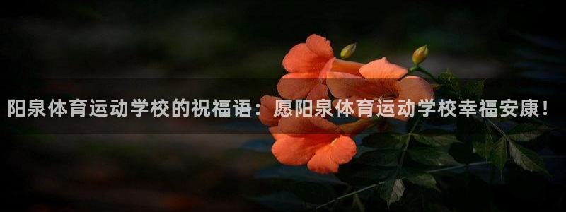 杏耀2平台注册