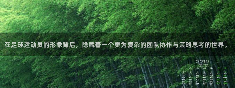 杏耀注册