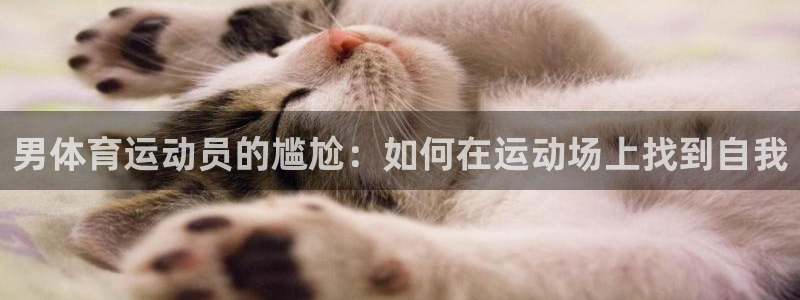 杏耀体育官网入口登录