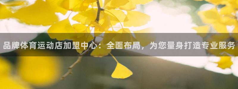 杏耀注册登录代理