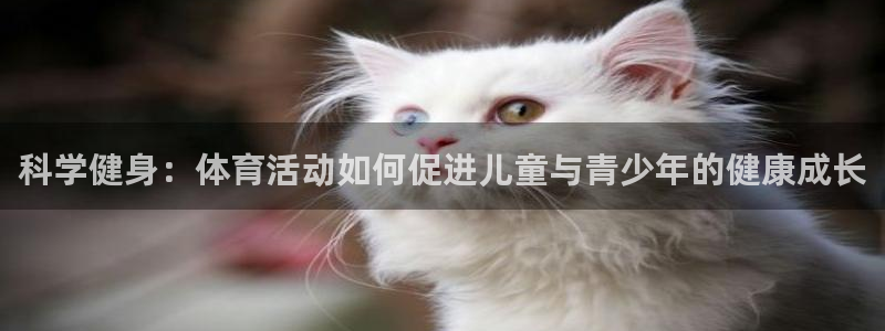 杏耀平台官网网址